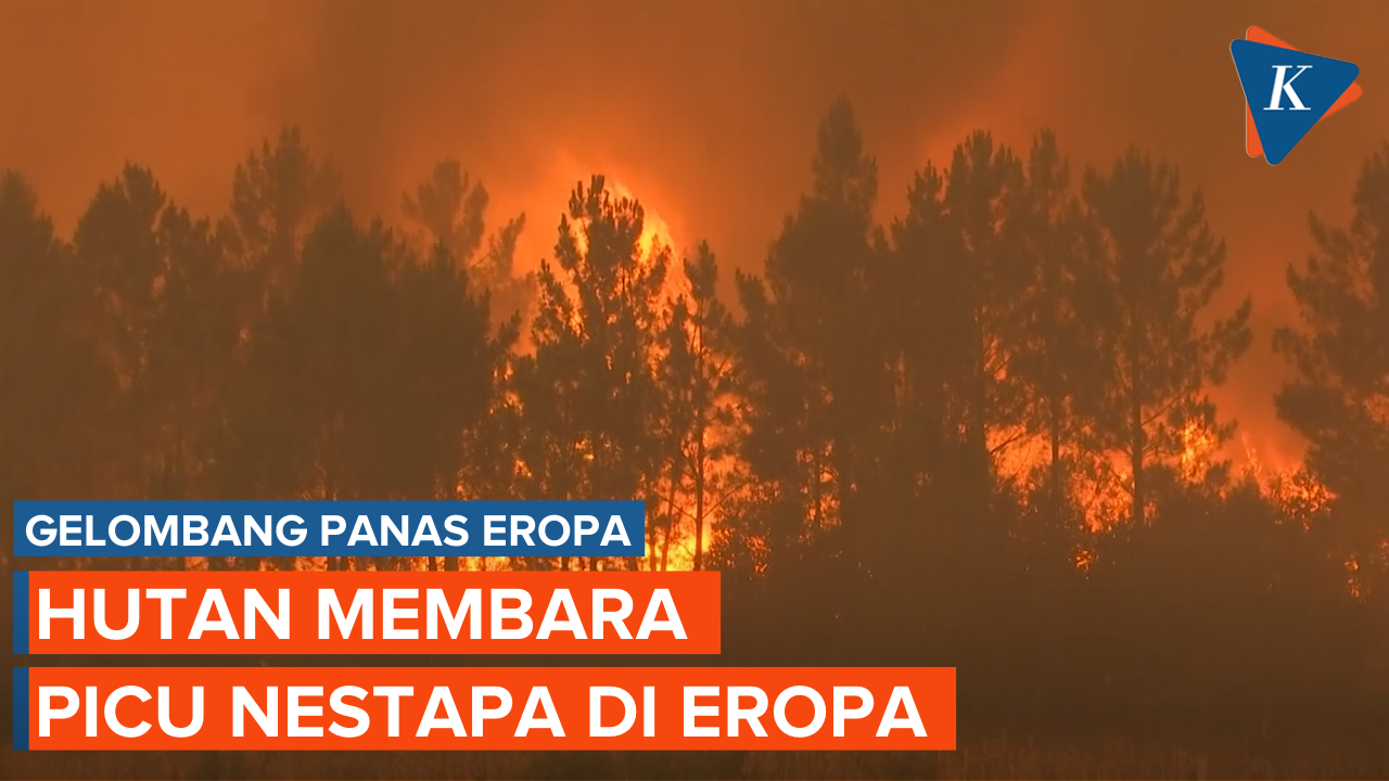 1000 Kematian Akibat Kebakaran Hutan Eropa