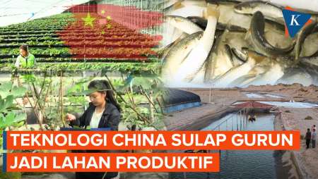 China Ubah Gurun Jadi Lahan Produksi Buah Dan Seafood
