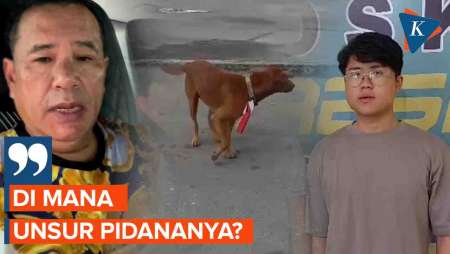 Hotman Paris Pertanyakan Status Tersangka Pria yang Pasang Bendera Merah Putih ke Leher Anjing