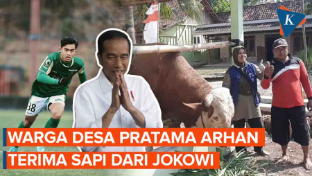 Jokowi Kirim Sapi ke Desa Pesepak Bola Pratama Arhan 