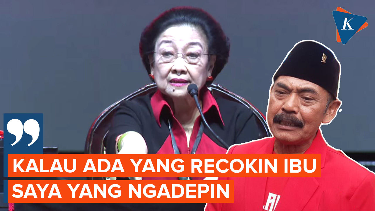 Megawati Singgung Kader Preman, FX Rudy Tak Ambil Pusing