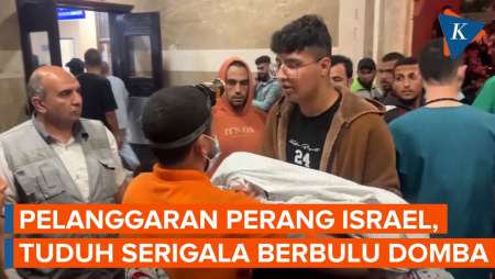 Israel Langgar Aturan Perang, tapi Tuding Hamas Serigala Berbulu Domba