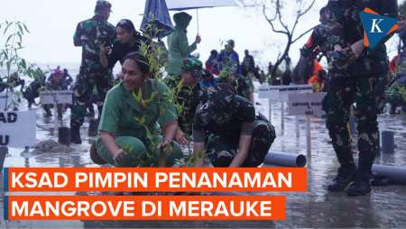 Momen Jenderal Maruli Pimpin Penanaman Mangrove di Merauke