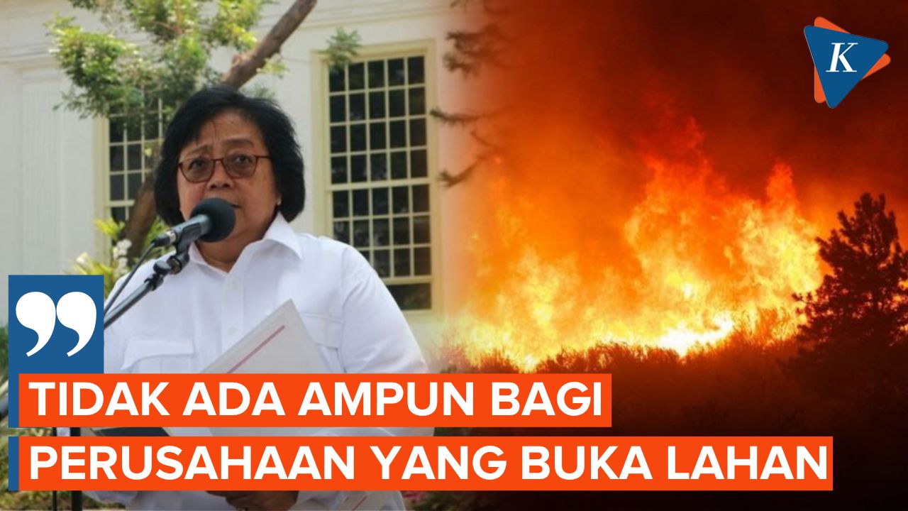 Banyak Perusahaan Bakar Hutan, Siti Nurbaya: Tidak Ada Ampun!