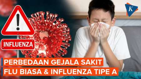Perbedaan Gejala Flu Biasa Dan Influenza Tipe A