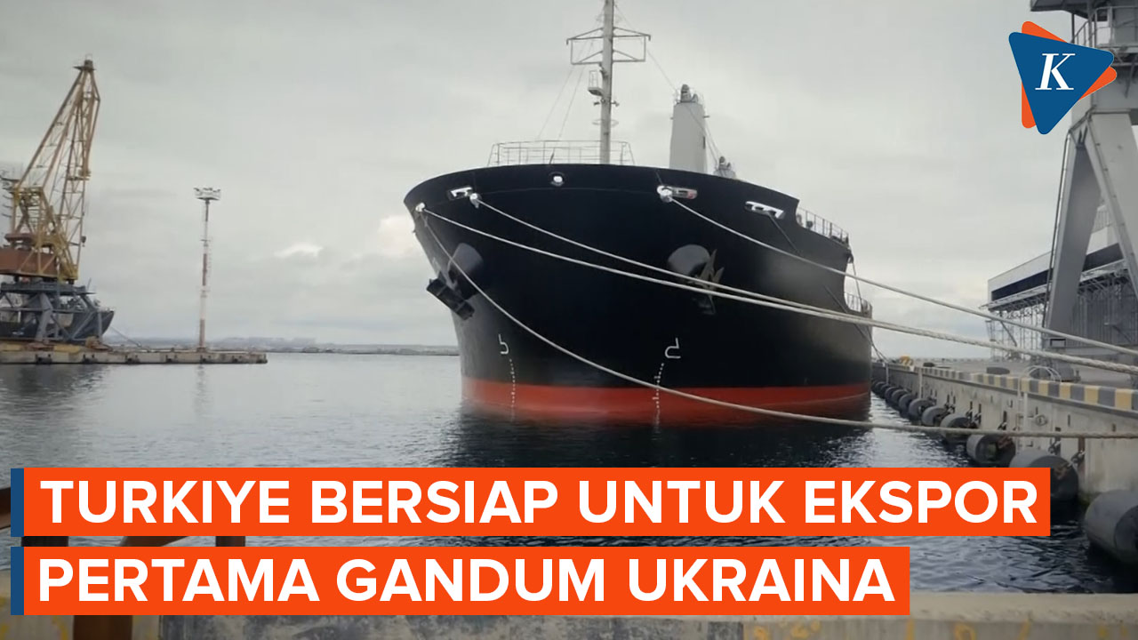 Turkiye Bersiap untuk Ekspor Pertama Gandum Ukraina yang Terperangkap di Laut Hitam