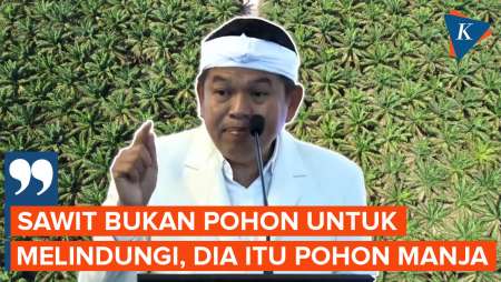 Depan MPR, Dedi Sorot Perkebunan Sawit: Pohon Manja, Tidak Melindungi!