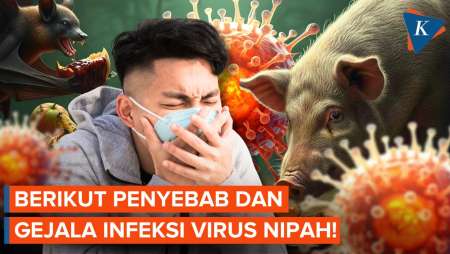Kenali Gejala Virus Nipah Yang Menyebar Di India Yang Jadi Sorotan Dunia!