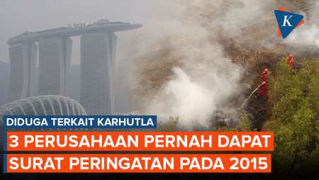 Diduga Terkait Karhutla, 3 Dari 7 Perusahaan Pernah Dapat Surat Peringatan Pada 2015