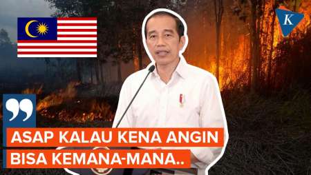 Respons Jokowi soal Asap Kebakaran Hutan yang Disorot Malaysia