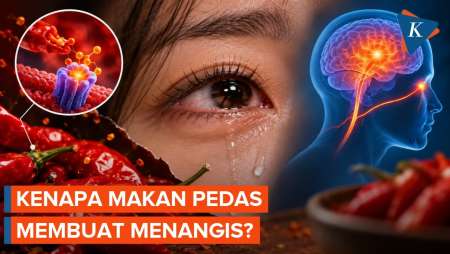 Kenapa Makan Pedas Bisa Membuat Kita Menangis?
