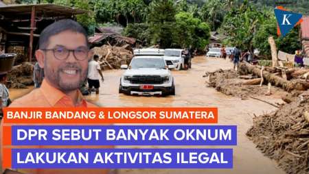 Ungkap Banyak Oknum Terlibat Illegal Logging Di Aceh, Anggota DPR: Bereskan Dengan Hukum