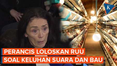 Perancis Bakal Punya UU Lindungi Petani dari Keluhan Suara dan Bau