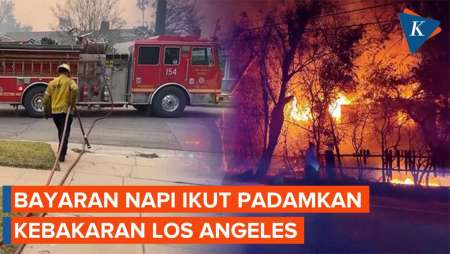 Ratusan Napi Dikerahkan Padamkan Kebakaran Los Angeles, Apa Imbalannya?