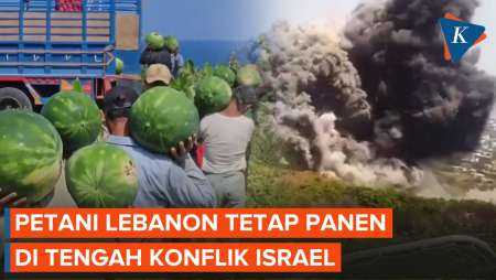 Cerita Petani Lebanon di Tengah Pertempuran Israel