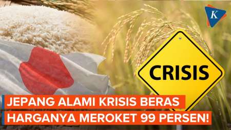 Jepang Alami Krisis Beras! Harga Meroket hingga 99 Persen