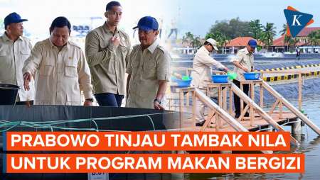 Momen Prabowo Tinjau Tambak Budidaya Ikan untuk Program Makan Bergizi