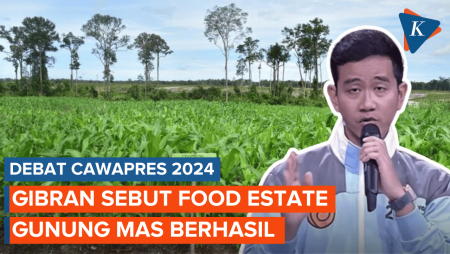 Bantah Cawapres Lain, Gibran Sebut Ada Food Estate Berhasil di Gunung Mas