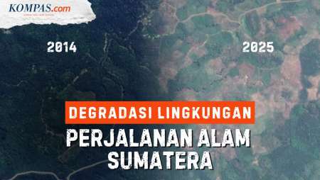 Penampakan Area Hijau Di Sumatera Dari Tahun Ke Tahun Sebelum Banjir