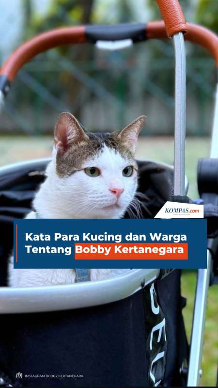Kata Para Kucing dan Warga Tentang Bobby Kertanegara