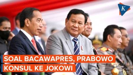 Gerindra Tak Menampik Prabowo-Muhaimin Konsul soal Bacawapres ke Jokowi