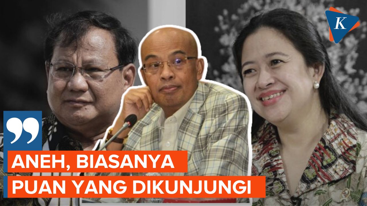 Gerindra Kaget Puan Mau Temui Prabowo