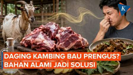 Rahasia Kurangi Bau Prengus Daging Kambing Agar Tidak Mengganggu Selera