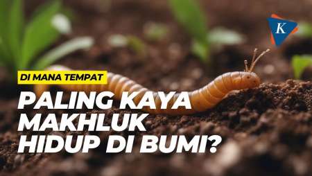 Di Mana Tempat Paling Kaya Makhluk Hidup di Bumi?