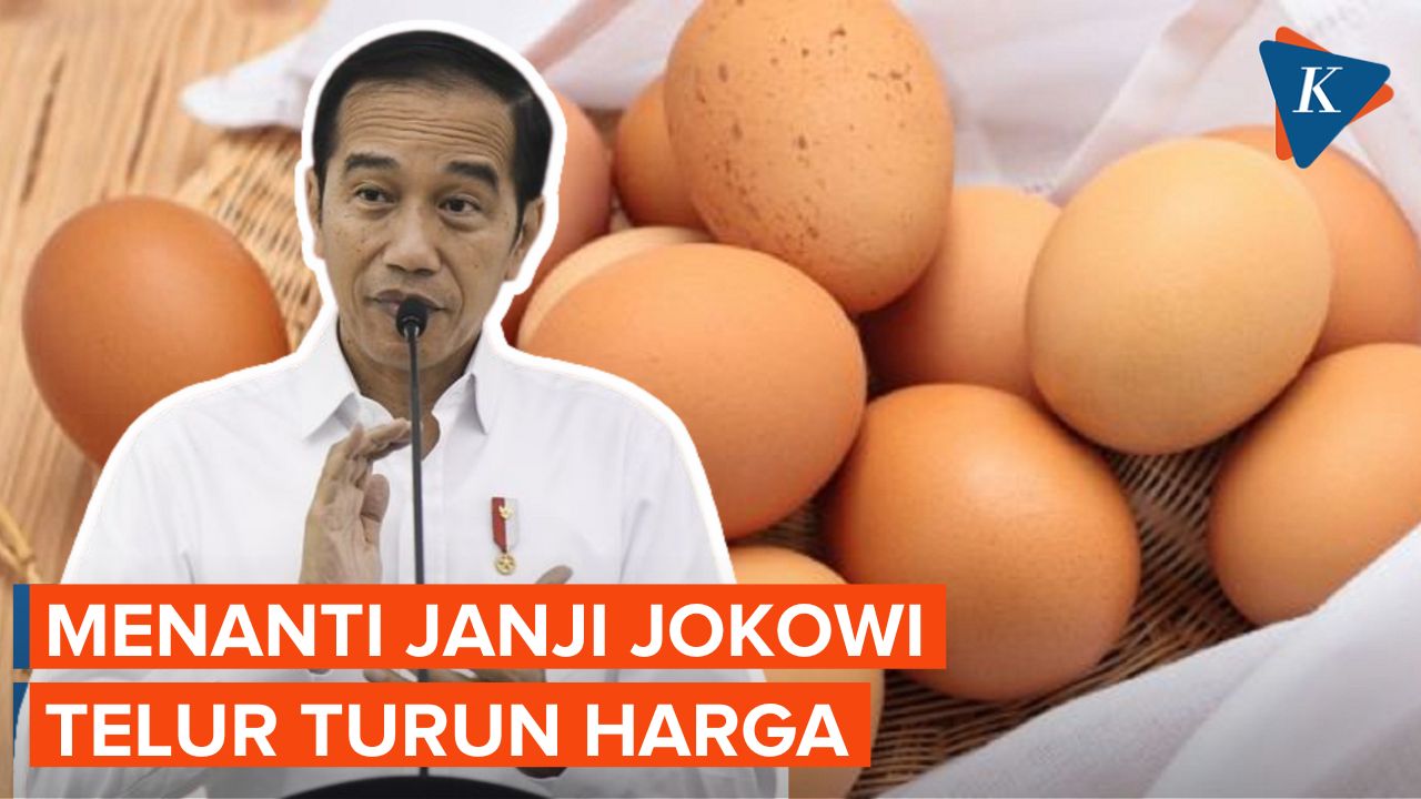 Janji Jokowi Harga Telur Turun 2 Pekan Lagi