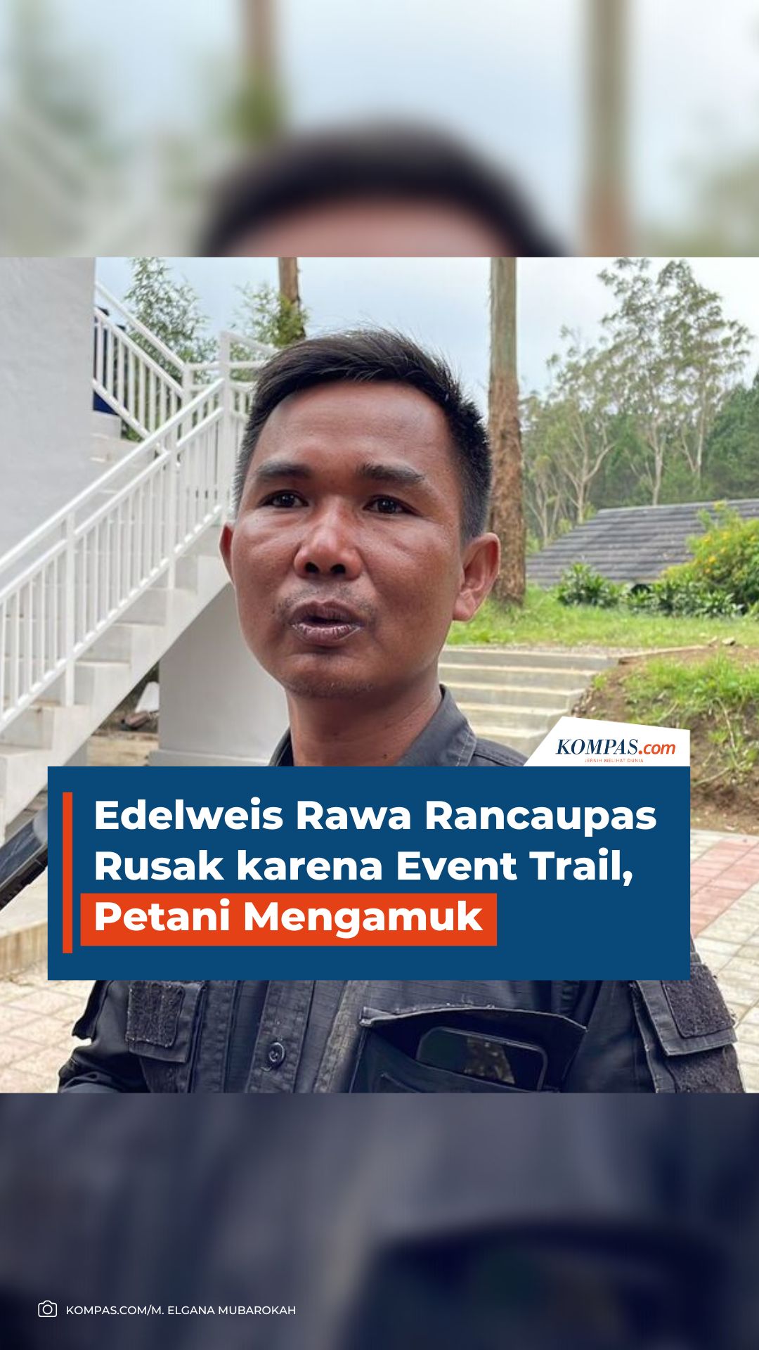 Edelweis Rawa Rancaupas Rusak karena Event Trail, Petani Mengamuk