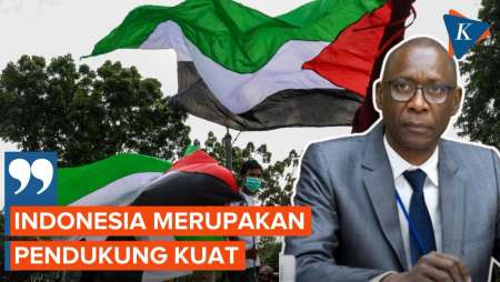Biro Komite Palestina PBB Apresiasi Dukungan Indonesia untuk Palestina