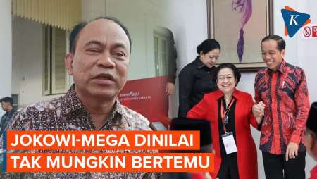Ketum Projo Ungkap Tak Ada Peluang Pertemuan Jokowi dan Megawati