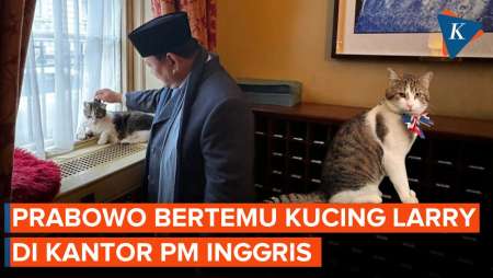 Kunjungi Kantor PM Inggris, Prabowo Akhirnya Bertemu Larry The Cat!