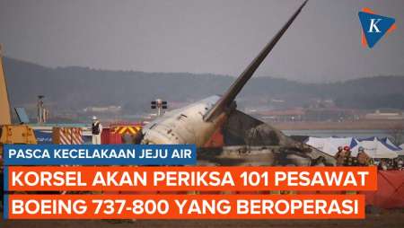 101 Pesawat Boeing 737-800 di Korsel Akan Diperiksa Imbas Kecelakaan Jeju Air