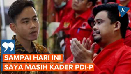 Bobby Nasution: Saya Masih Kader PDI-P