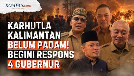 Reaksi 4 Gubernur Di Kalimantan Soal Karhutla Yang Tak Kunjung Padam
