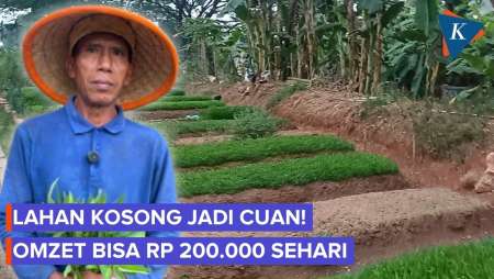 Lahan Nganggur di Bekasi Disulap Jadi Kebun, Hasilkan Rp 200.000 Sehari
