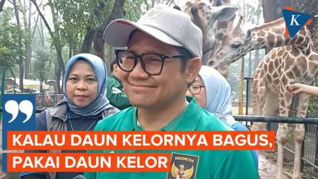 Cak Imin Sebut Daun Kelor Bisa Jadi Pengganti Susu di Program Makan Bergizi Gratis 