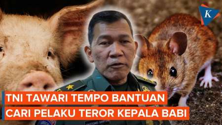 Kapuspen TNI Tawarkan Bantuan ke Tempo Cari Pelaku Teror Kepala Babi