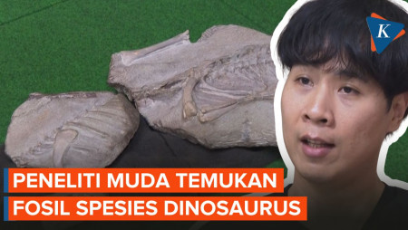 Fosil Diduga Spesies Baru Dinosaurus Ditemukan di Thailand