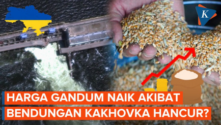 Hancurnya Bendungan Kakhovka di Ukraina Dikhawatirkan Pengaruhi Harga Gandum