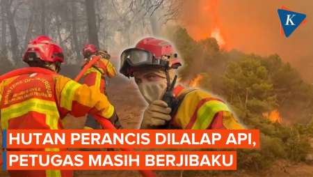 Petugas Masih Berjibaku Lawan Kebakaran Hutan Terbesar di Perancis