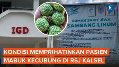 Pasien Mabuk Kecubung di RSJ Kalsel Bertambah Jadi 44 Orang, Ada yang Tak Bisa Bicara