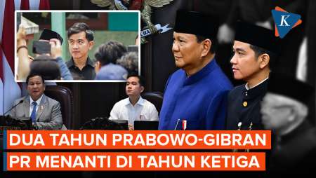 Dua Tahun Prabowo-Gibran: Menakar Efektivitas Blusukan Dan Peran Wapres