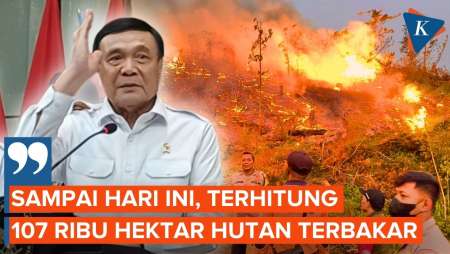 Dampak El Nino di Indonesia, Menko Polkam: 107.000 Hektare Hutan Terbakar