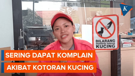 Curhat Petugas Kebersihan di Jakut Kena Omel Warga karena Kotoran Kucing