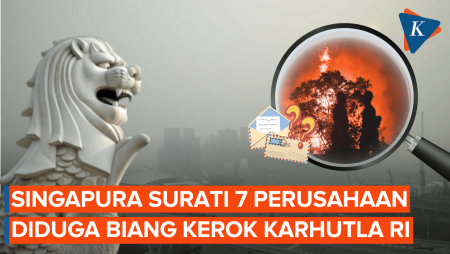 Singapura Kirim Surat Peringatan Ke 7 Perusahaan Diduga Terlibat Karhutla Di Indonesia