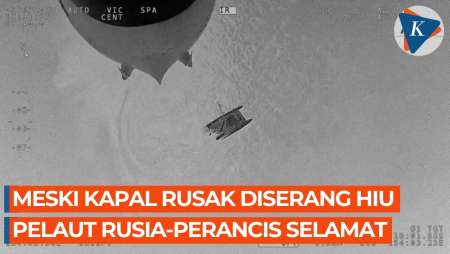 3 Pelaut Rusia-Perancis Diselamatkan Australia Usai Kapalnya Diserang Hiu