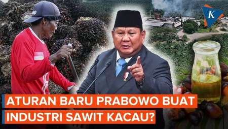Prabowo Wajibkan Ekspor CPO Lewat BUMN: Petani Sawit Diuntungkan Atau Dirugikan?