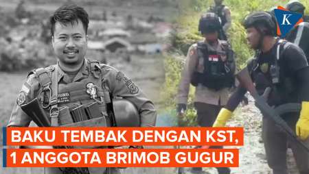 1 Anggota Brimob Gugur Usai Kontak Tembak dengan Anggota KST